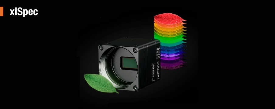 xiSpec2_Leaf_hyperspectral-imaging_camera_USB3