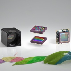 xiSpec_leafs_250_Hyperspectral_USB3_compact_smallest_cameras