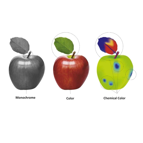 Apples-Hyperspectral-optical-sorting