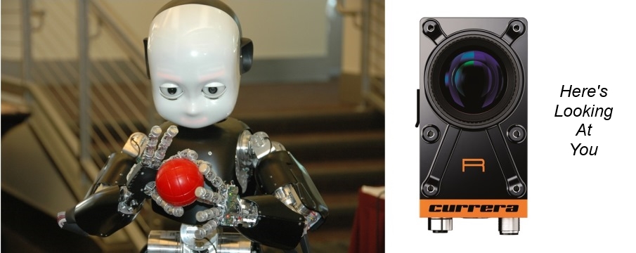 Robot: iCub